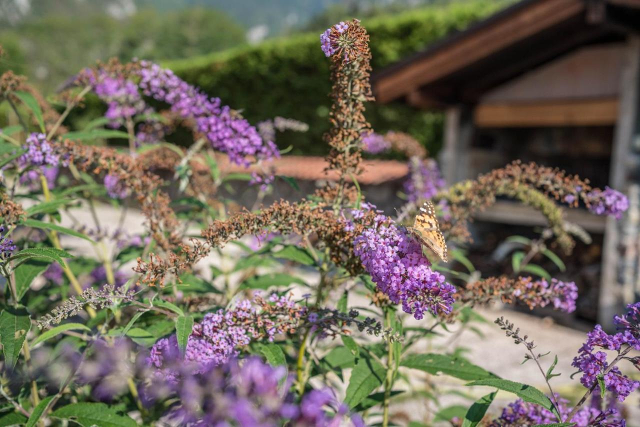 Appartamento Dorsino Dış mekan fotoğraf